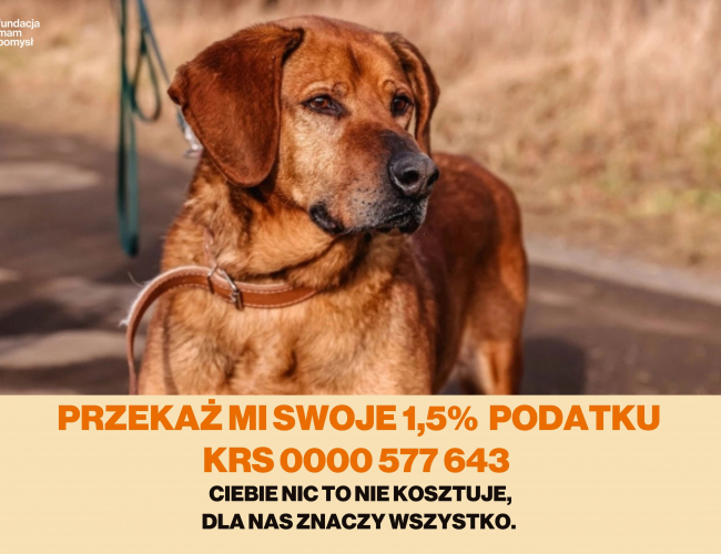 1532/P/ŻA/01/20
