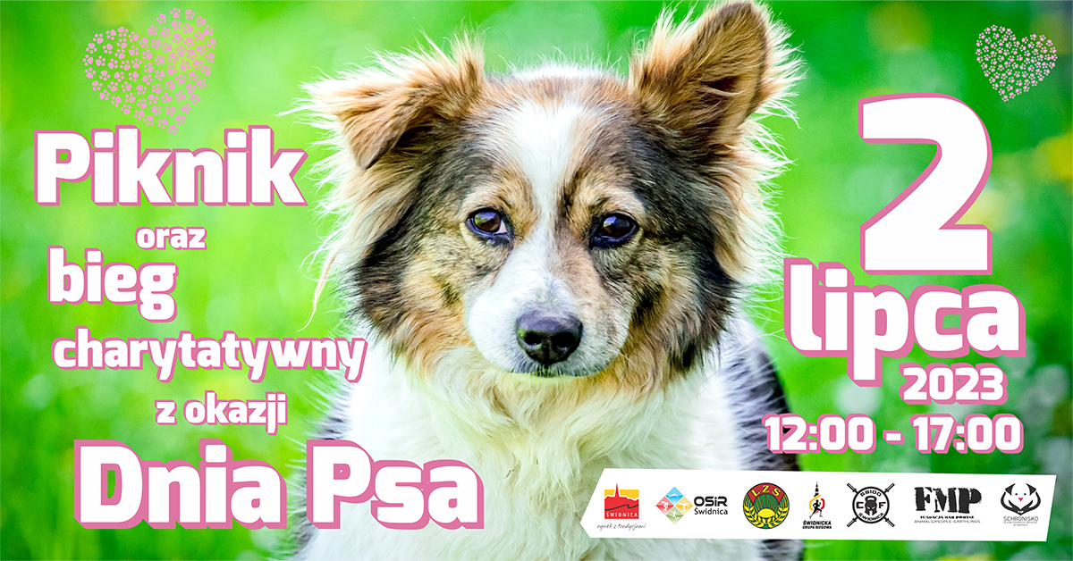 Aktualności - Schronisko dla Bezdomnych Zwierząt w Świdnicy - Piknik oraz bieg charytatywny z okazji Dnia Psa!