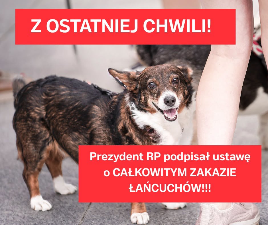 Aktualności - Schronisko dla Bezdomnych Zwierząt w Świdnicy - TO HISTORYCZNY DZIEŃ DLA ZWIERZĄT W POLSCE!